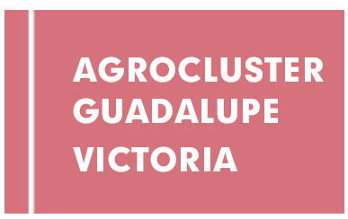 Agrocluster Gpe. Victoria